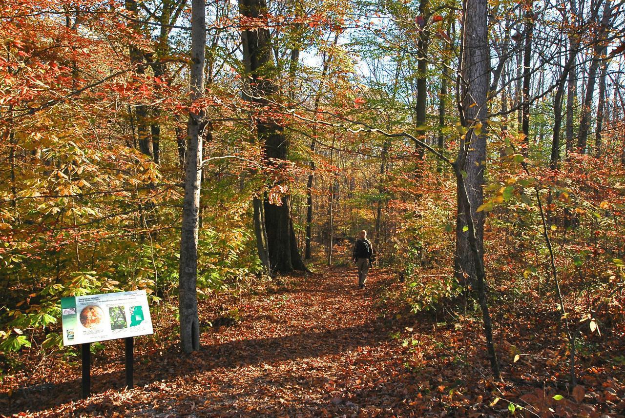 Spring Mill Inn Mitchell Kültér fotó