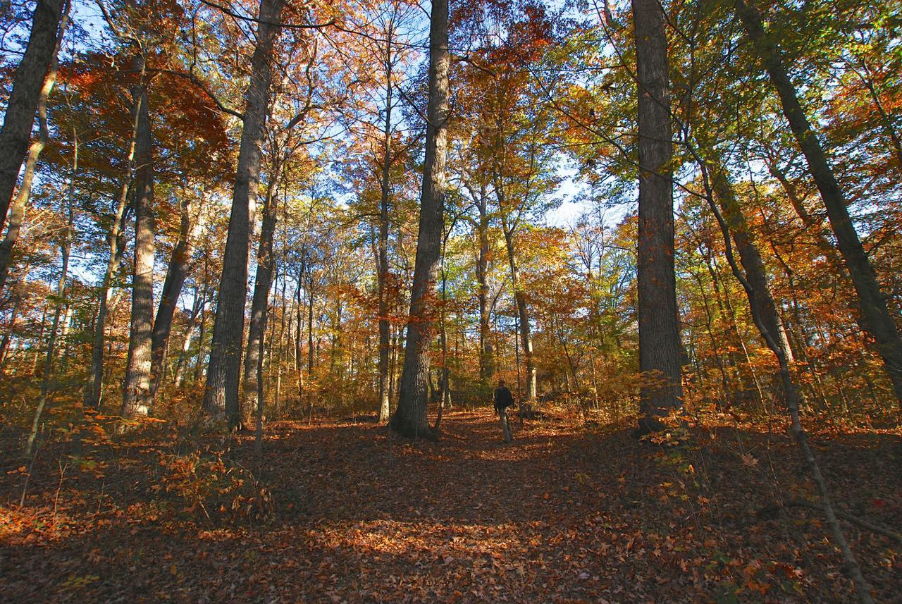 Spring Mill Inn Mitchell Kültér fotó